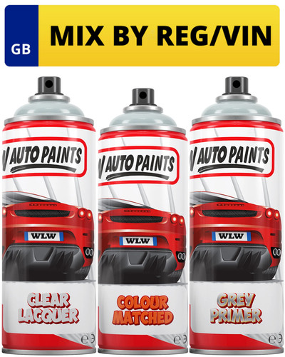 Aerosol spray paint kit - paint, mixed